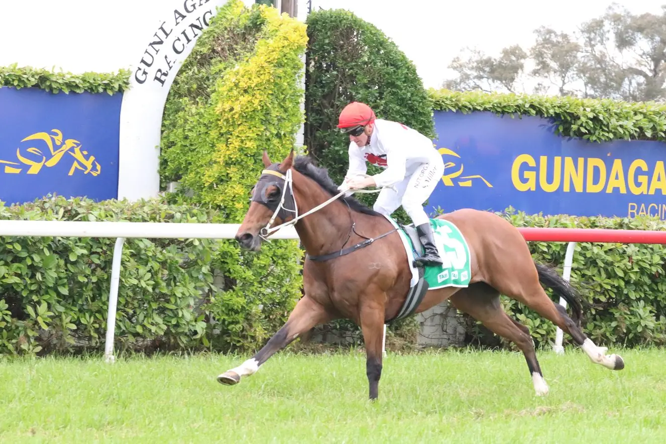 Albury jockey Simon Miller is enjoying a good run of form in the saddle. 