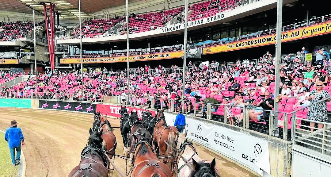 Barellan team offers crowds a glimpse into bygone era