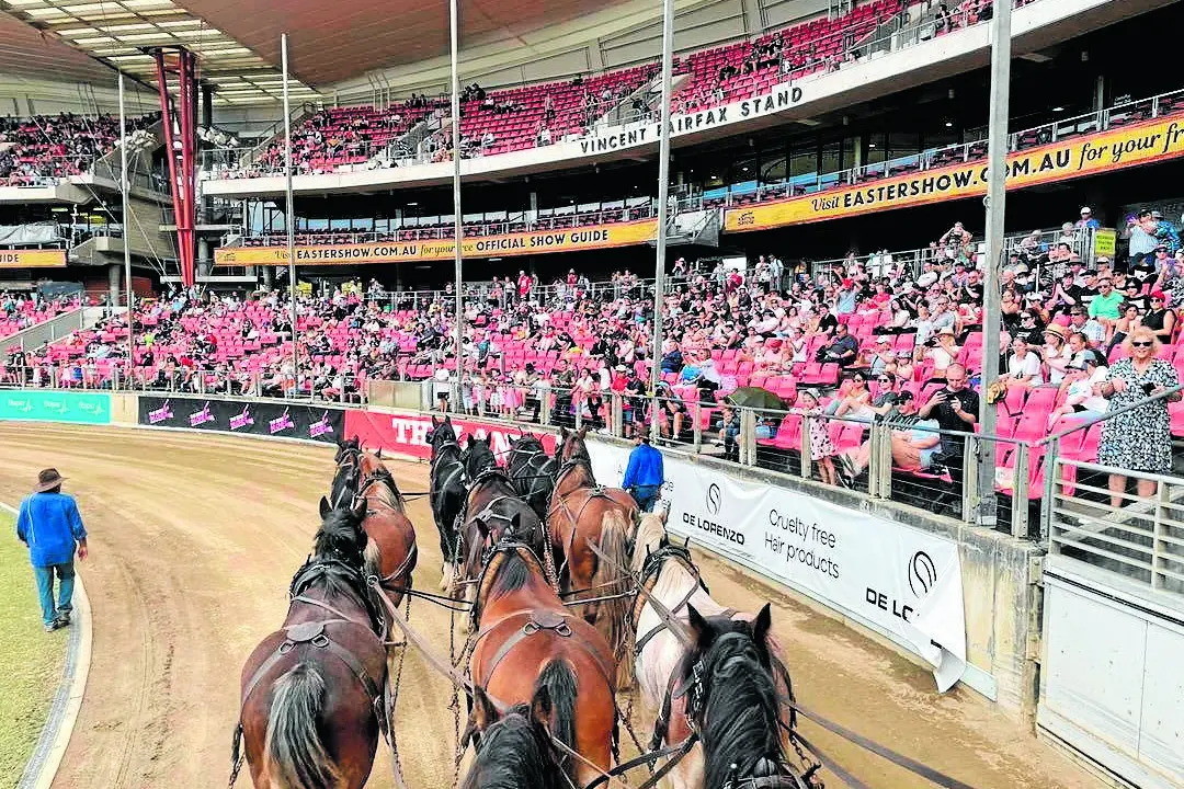 The Bandy and Johnson team paraded around the stadium twice a day. Photo: Supplied