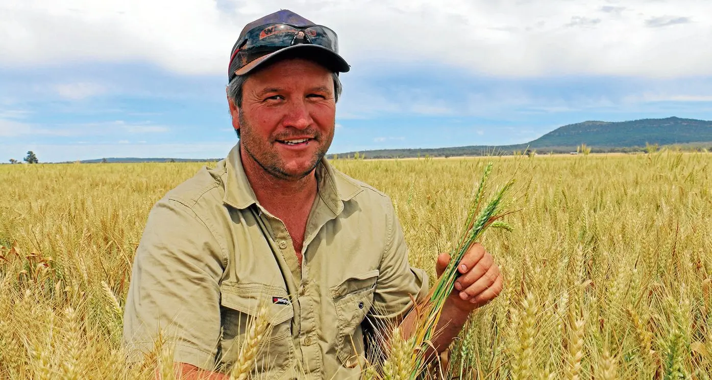 'Magnificent' crops bring big boost for businesses