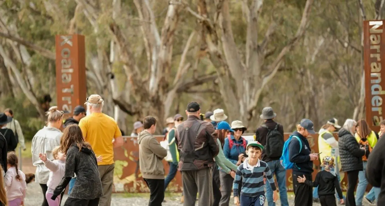 Koala Count shows population on the rise