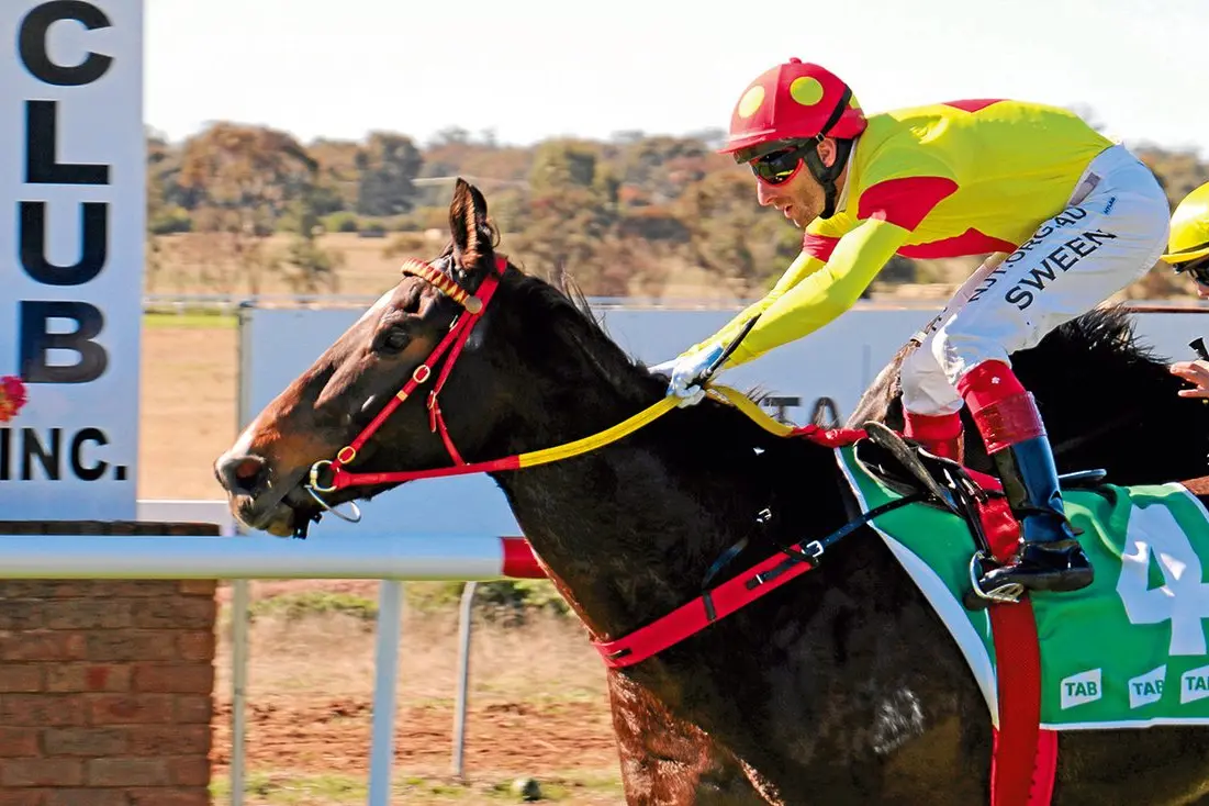 Aaron Sweeney rides Delightful Dream to a win in the 1000m maiden plate at Narrandera. The gelding was having his first start and was backed into $1.70.\\u00A0Photo: Kim Woods