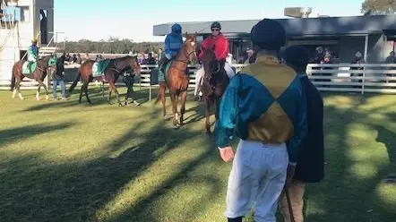 Prizemoney going up for this year's Cup