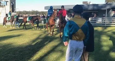 Prizemoney going up for this year's Cup