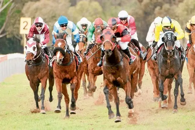 Narrandera Race Club hosted a bumper race meeting on December 17.