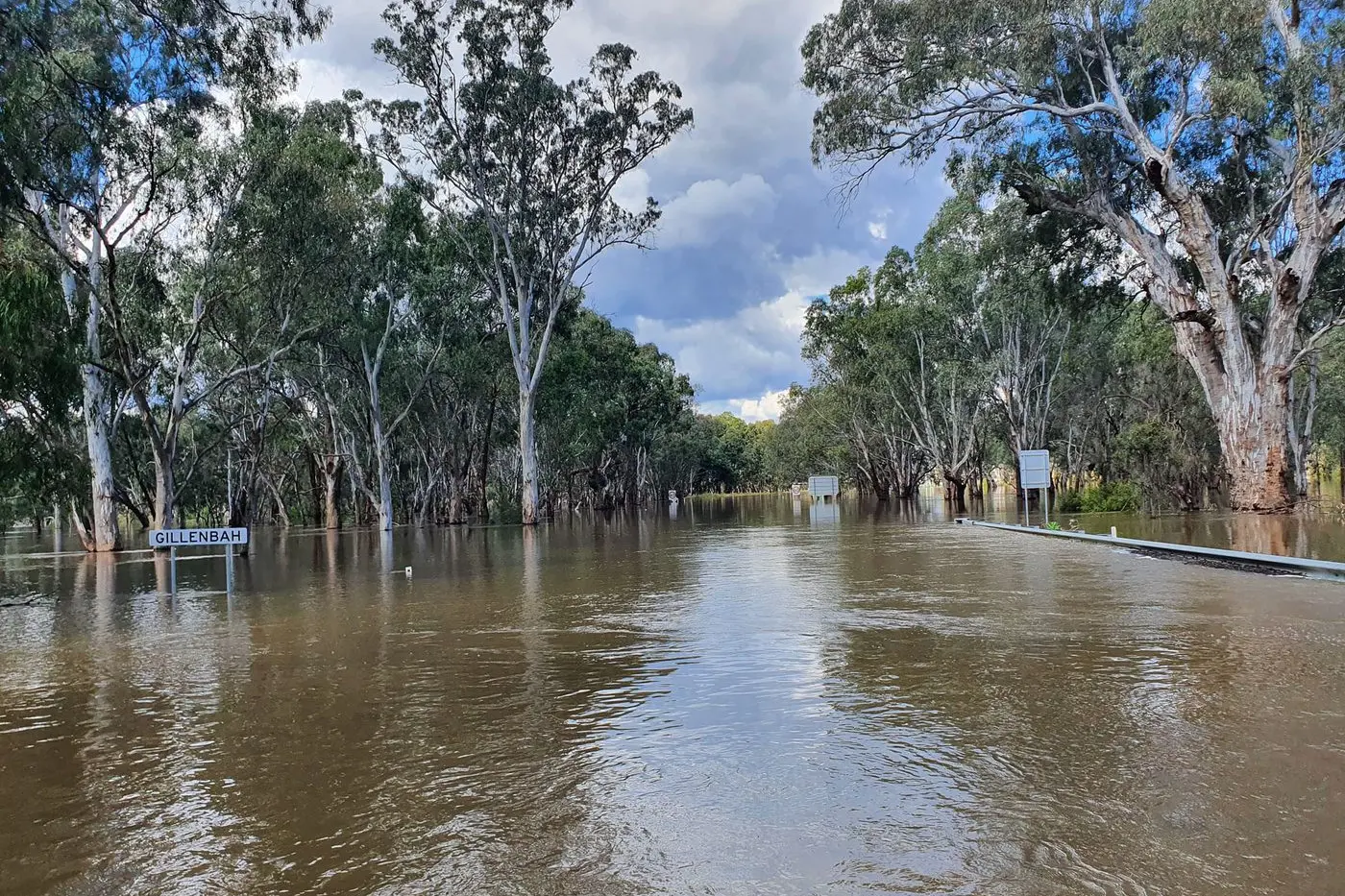 This photo shows the depth of the Murrumbidgee River at Gillenbah.