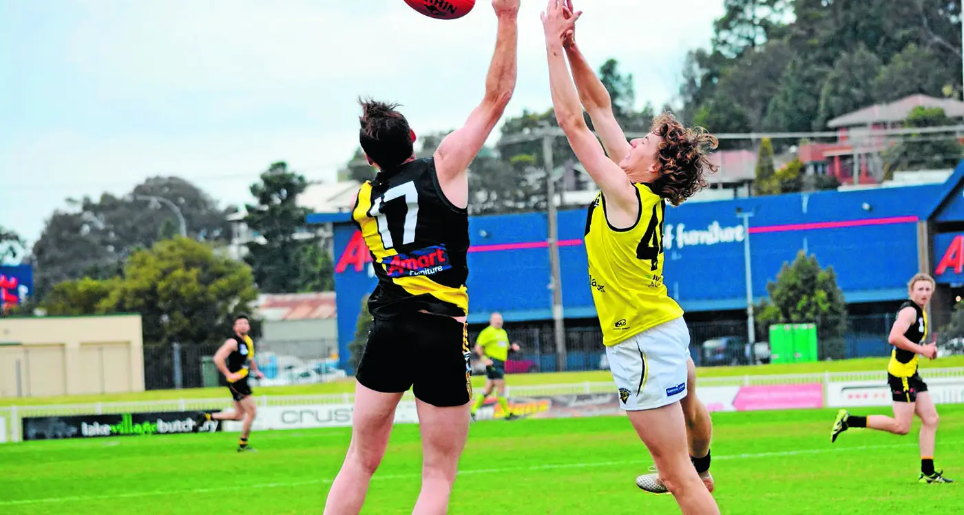 Ostriches take flight in new league