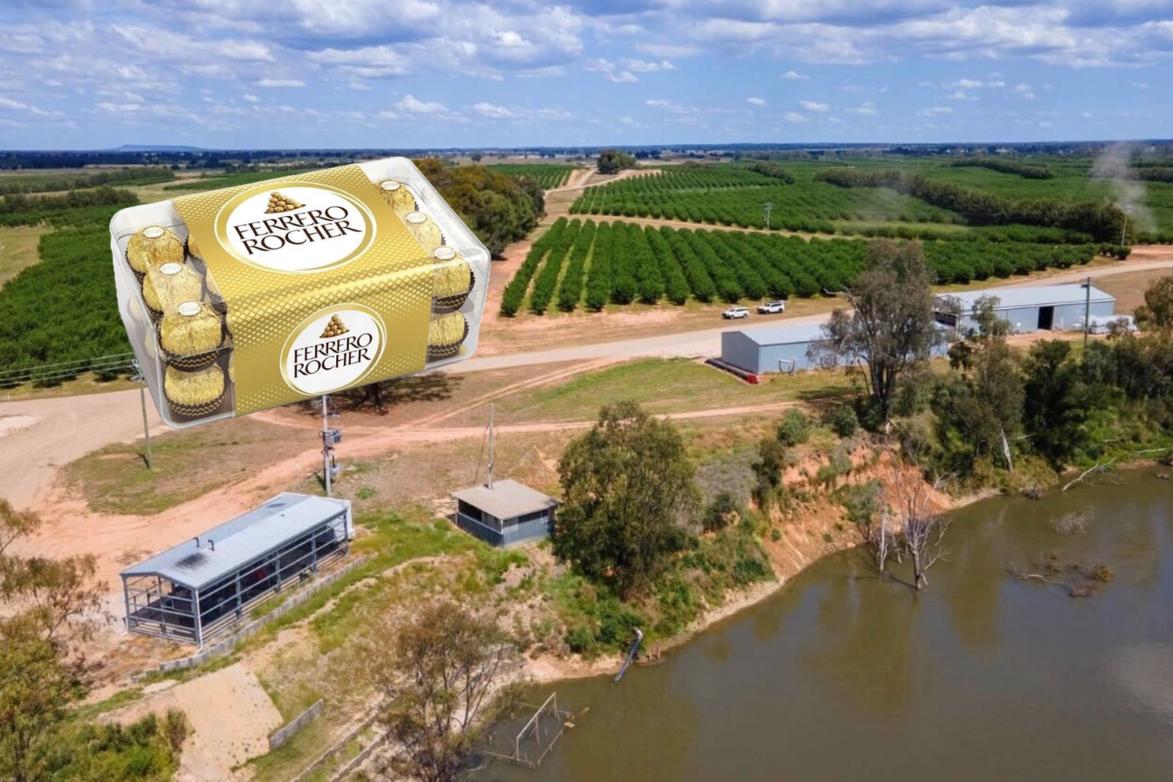 Project Hazelnut Ferrero shuts down hazelnut project