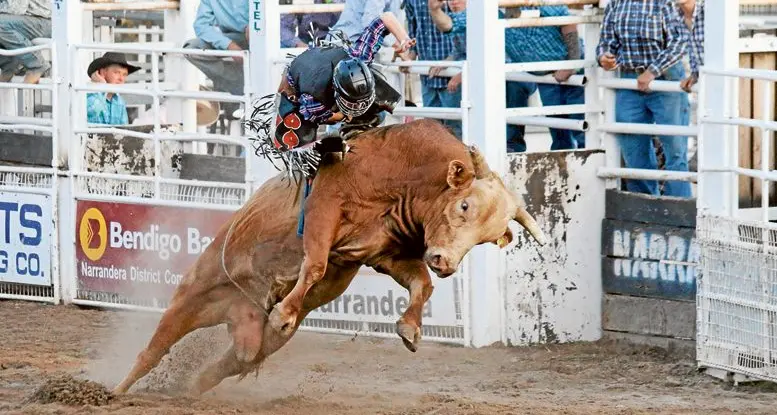 Narrandera Rodeo a success as Kyle Horton wins bull ride
