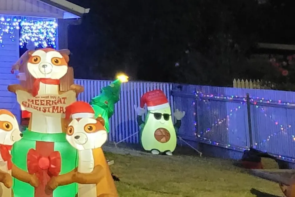The Deahm family say a number of their Christmas decorations have been stolen.