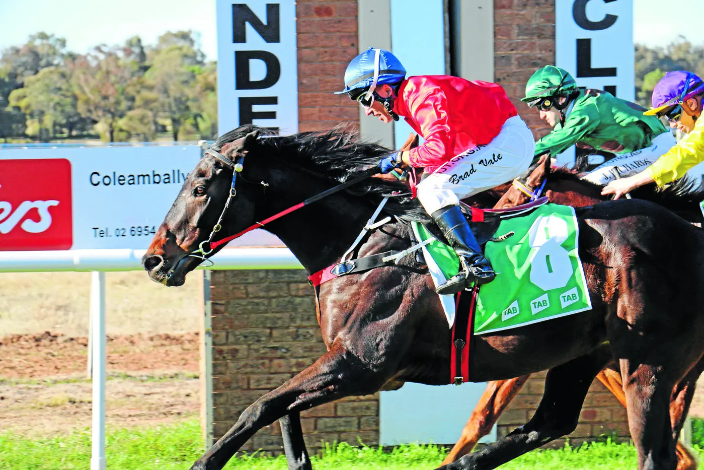 At massive odds, Pacific Tycoon wins by half a length over Crimson Hoffa in the Elders Ltd Narrandera and Coleambally CVG&E Benchmark 58 handicap over 1400m at Narrandera. Photo Kim Woods