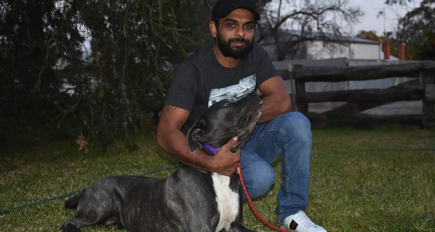 Social media, police combine to reunite dog with owner