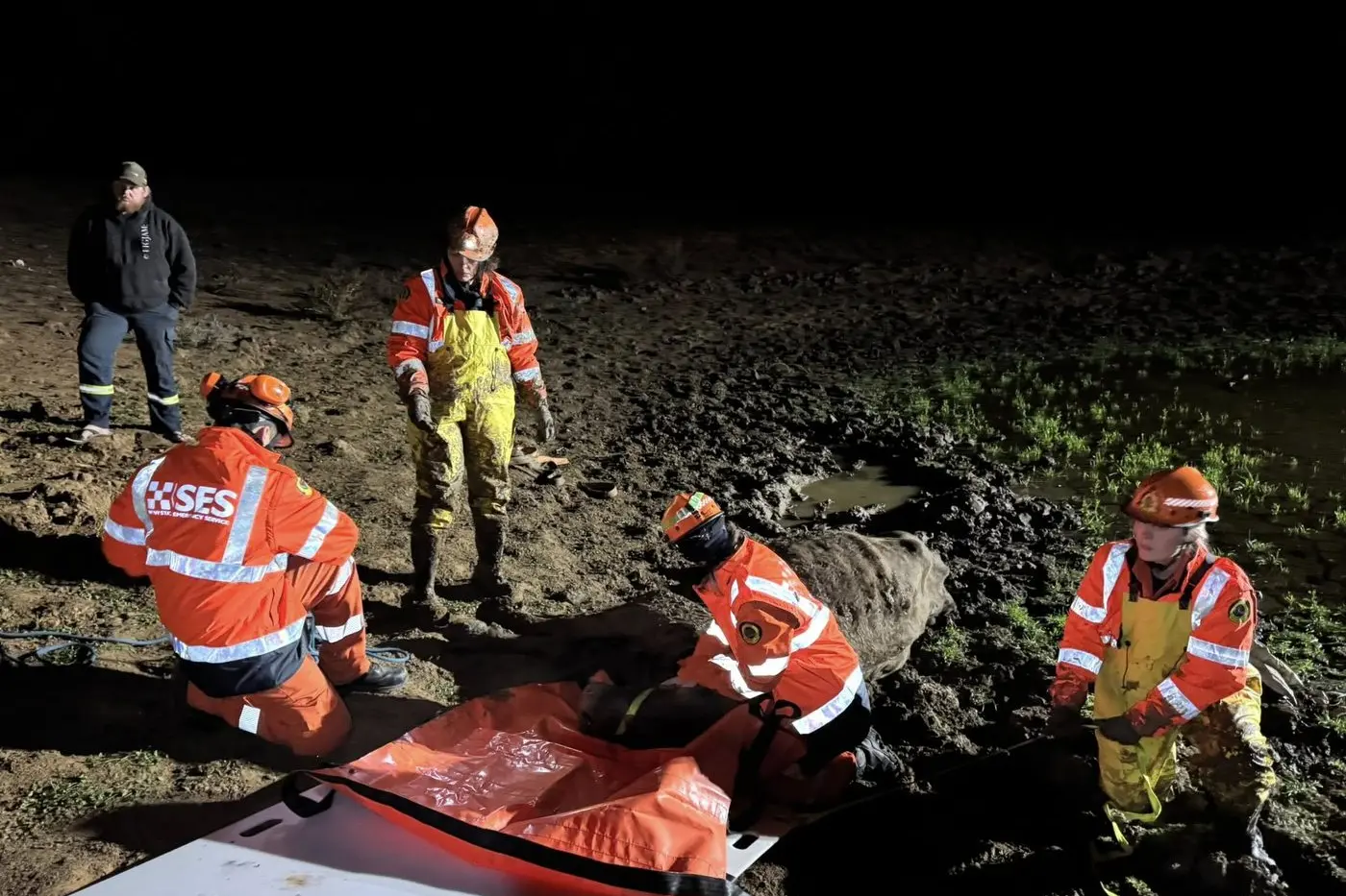 Rescue work can be as diverse as rescuing a cow from mud such as happened for the Narrandera SES crew last week.