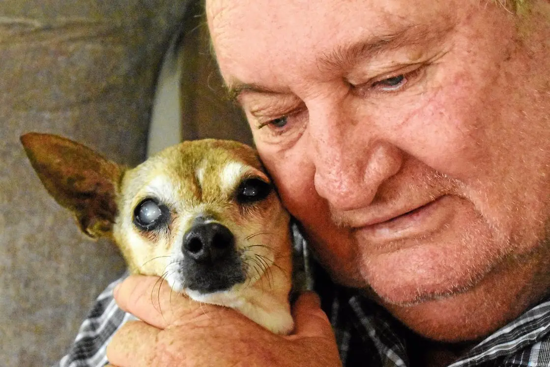 Dolly may be blind in one eye but the 20-year-old fox terrier has a unique ability to care for and show compassion to those who are sick and frail.\\u00A0Photo: Rustty Lake-Connolly
