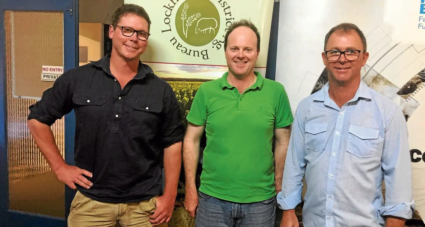 Kittyhawk wheat proves a winner for Lane