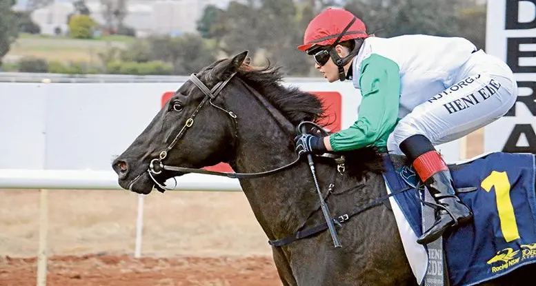 Narrandera Cup on track with full field tipped