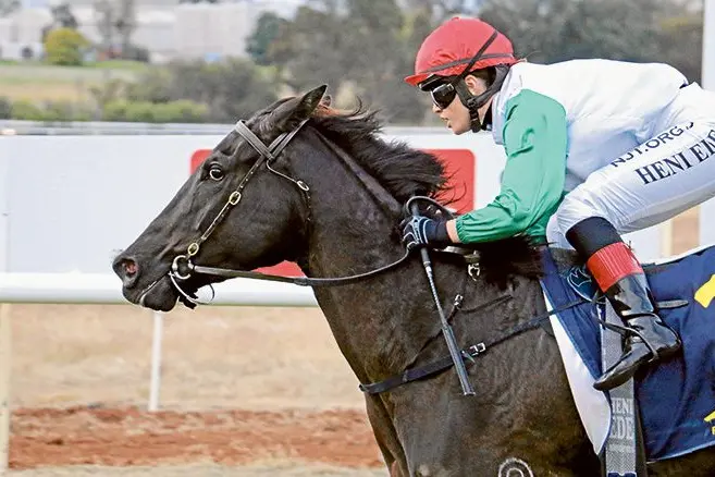 Miss Amelia, ridden by apprentice Heni Ede, takes out race six at the ProTen LW Peacock Memorial Meeting last month. Photo: Kim Woods.