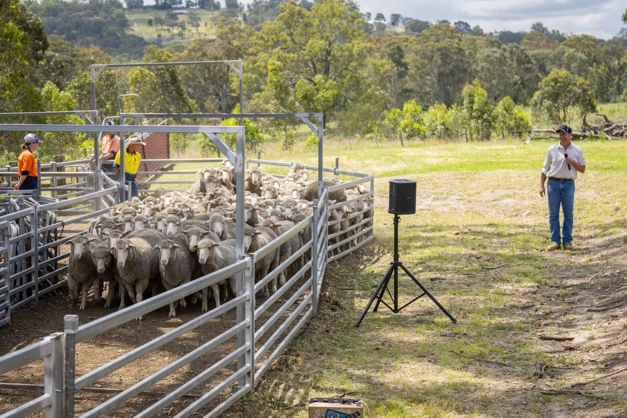 <p>The College proudly celebrated 60 years of operation, a milestone reached earlier in 2025</p>\\n