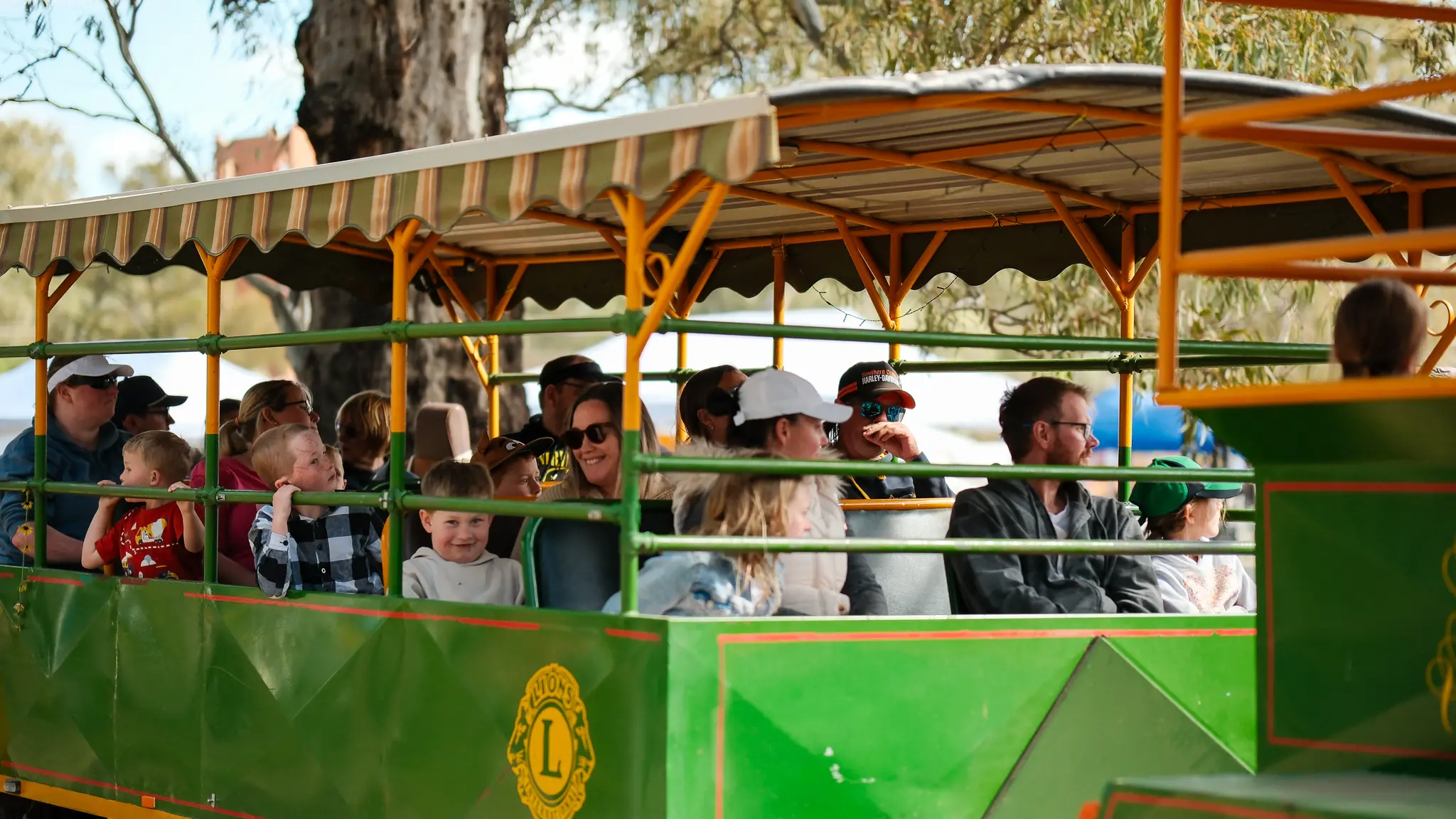 Festive season to light up Shire