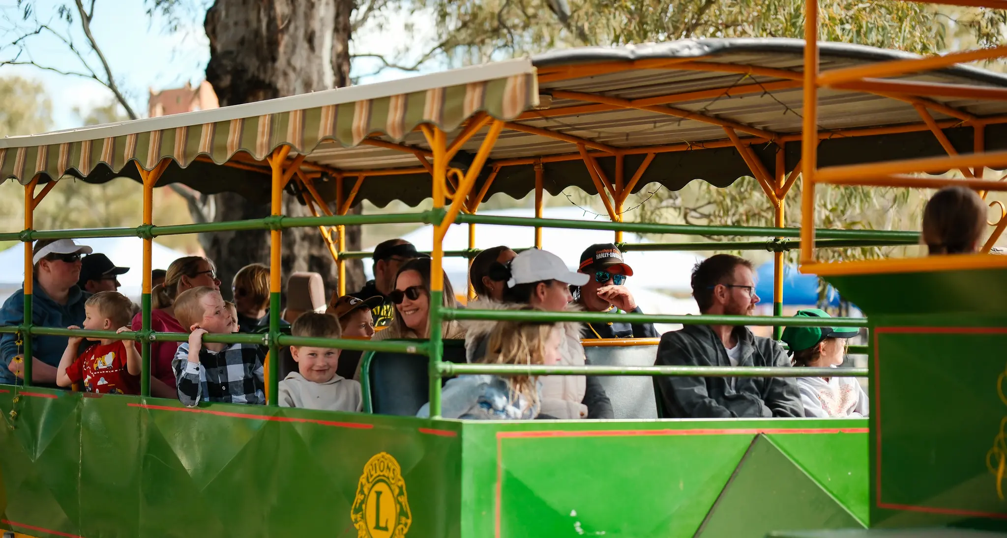 Festive season to light up Shire