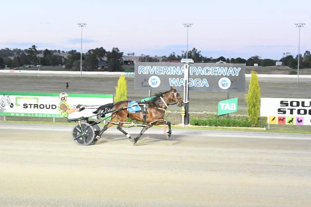 <p>Trained and owned by Jackson Painting and driven by Brad Hewitt, storming home.</p>\\n