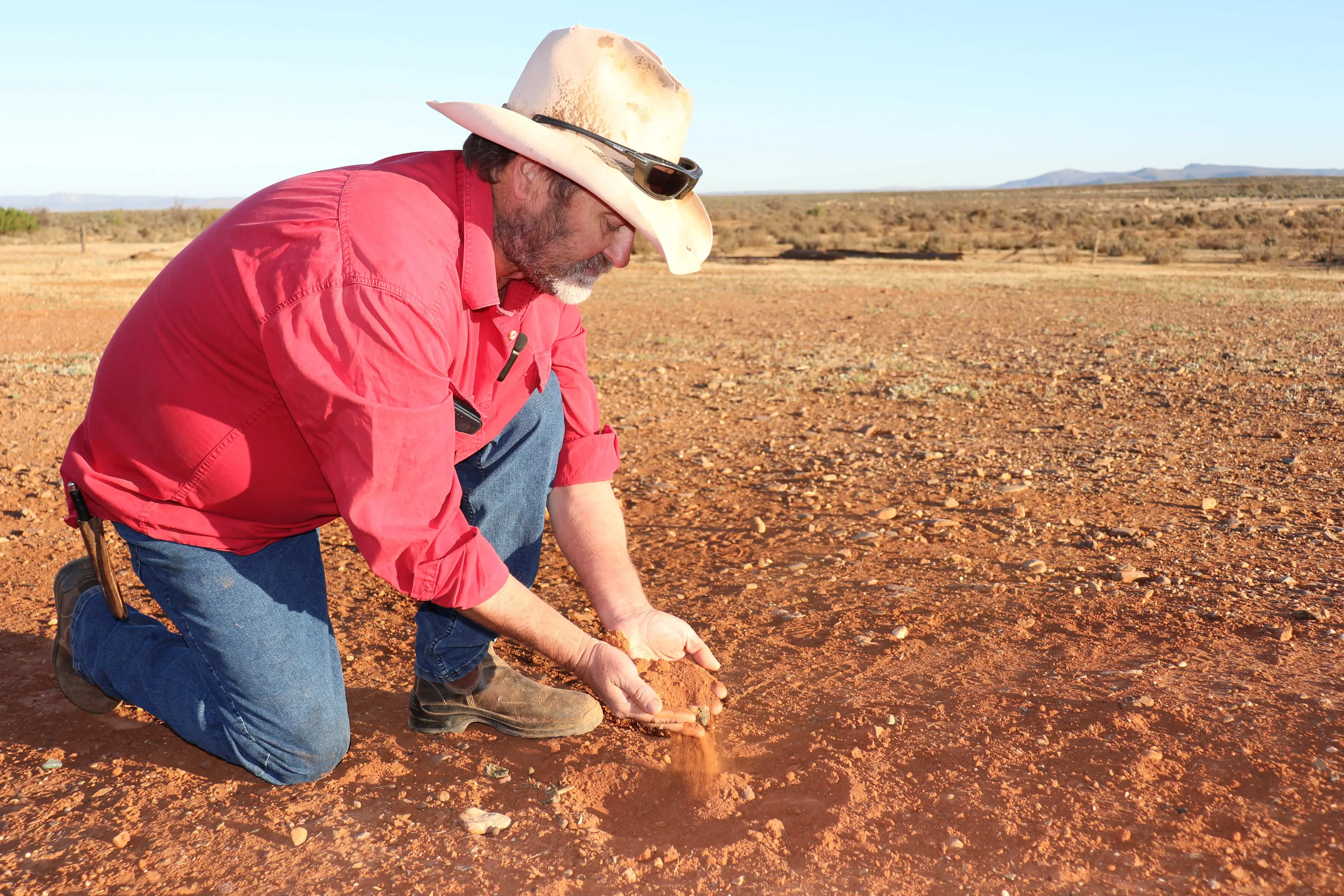 <p>The dismal sight faced by a farmer as drought strikes his property.</p>\\n