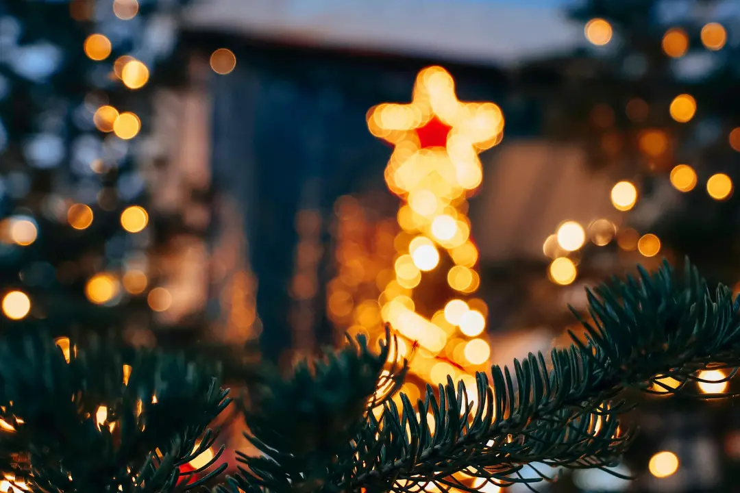 <p>NSC is inviting residents and businesses to participate in the 2025 Christmas Light comp.</p>\\n