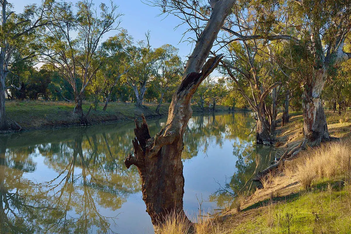 Locking in water security for the NSW Murray andMurrumbidgee