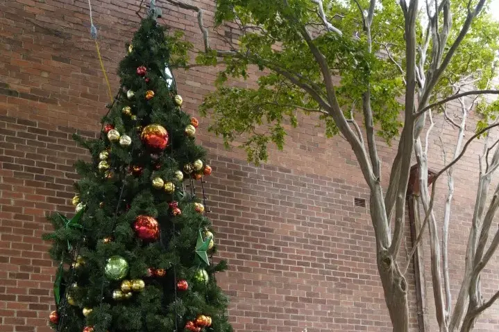 <p>Member for Riverina Michael McCormack</p>\\n