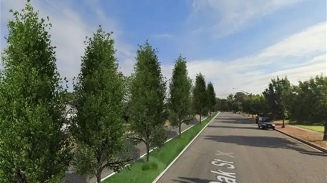 Leeton proposes planting about 2000 trees over 10 years