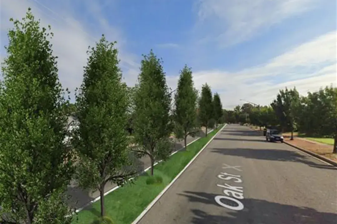 Leeton proposes planting about 2000 trees over 10 years