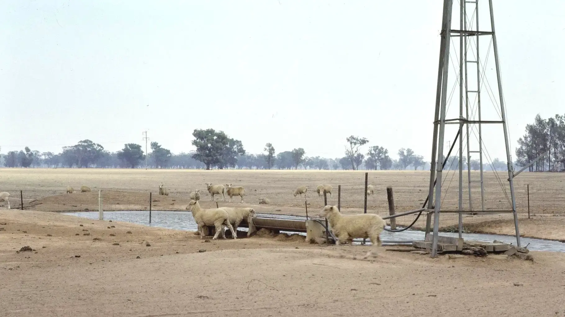 1982-83 drought (Narrandera) worst in 20th century