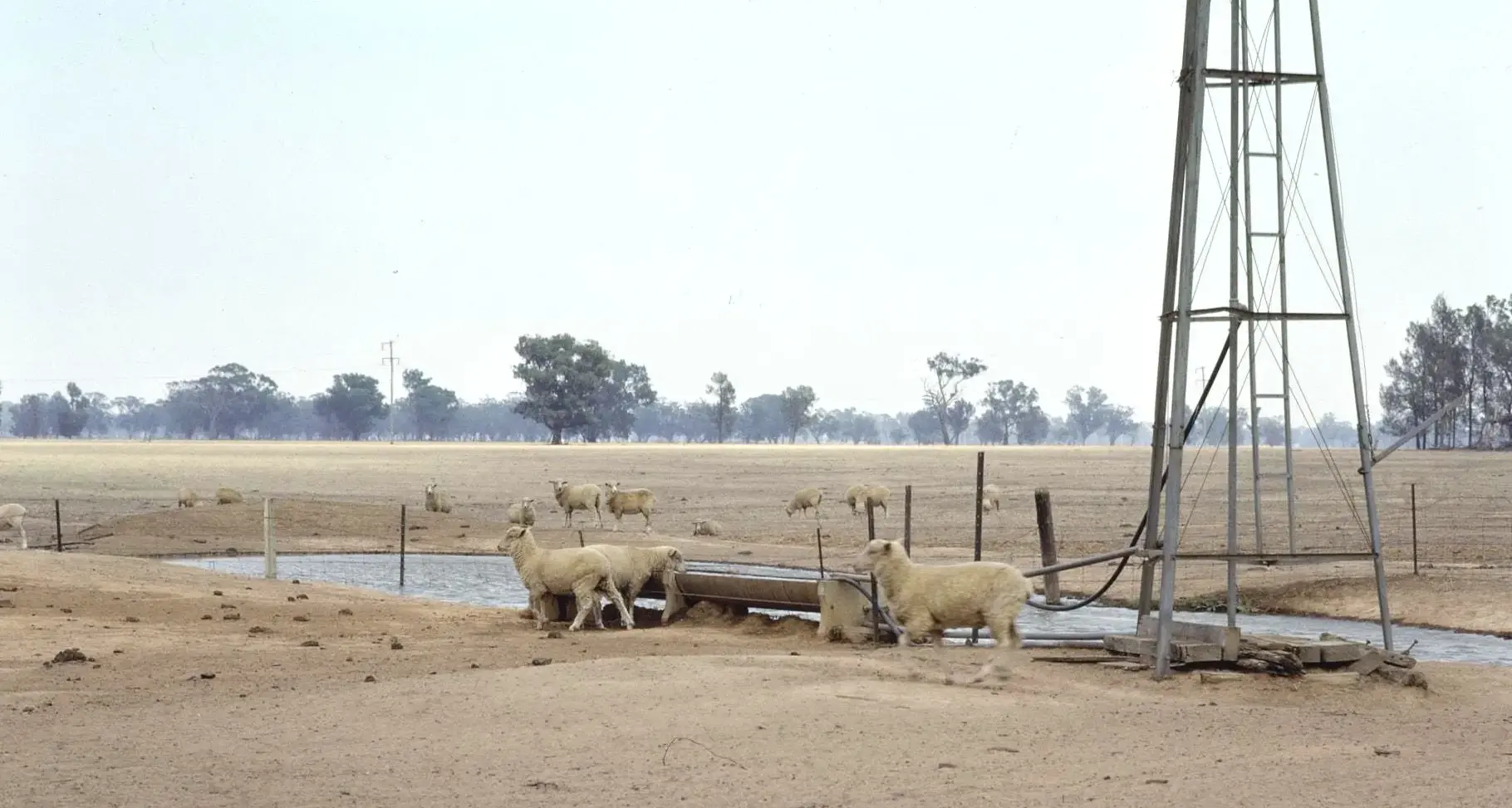 1982-83 drought (Narrandera) worst in 20th century