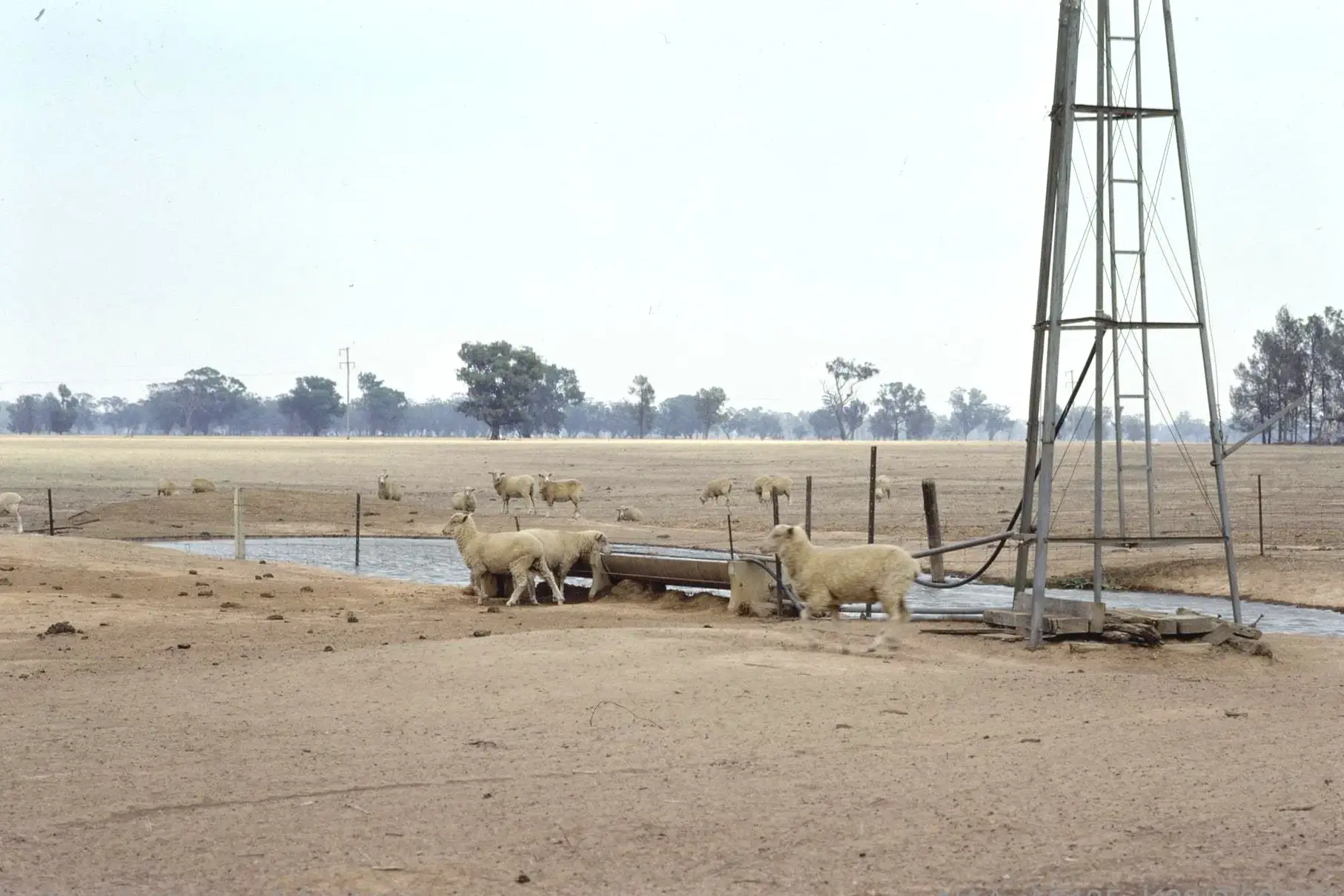 1982-83 drought (Narrandera) worst in 20th century