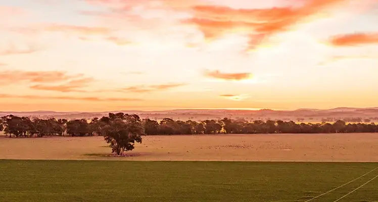 Extreme heat puts Essential Energy crews on standby