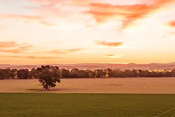 <p>Essential Energy crews were prepared for the impact of extreme heat across much of NSW.</p>\\n