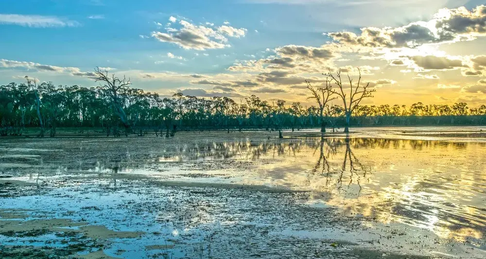 Water management must become national issue