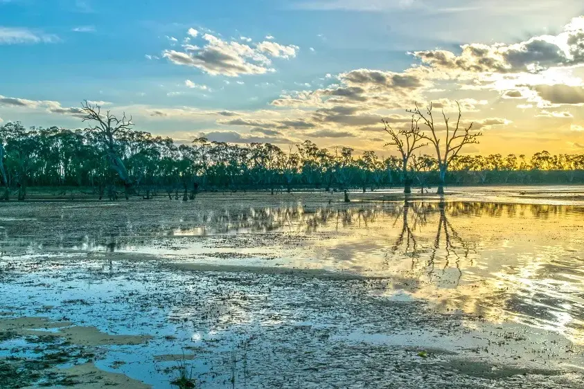 <p>Murray Darling Basin</p>\\n