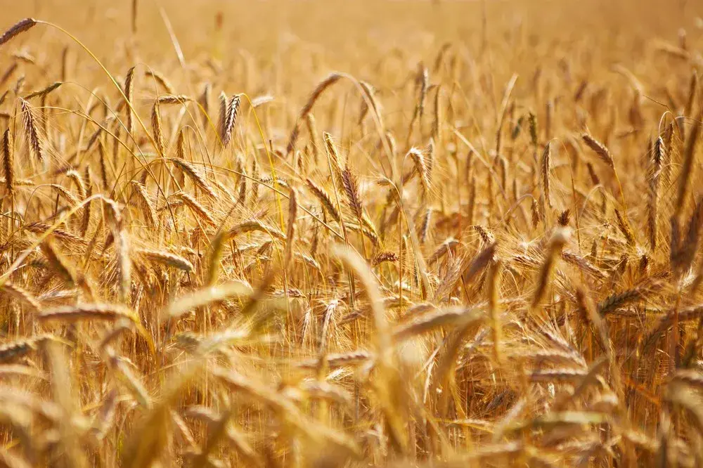 <p>There is no such thing as bad weather, just poor timing, different perspectives and bad choice of clothing.</p>\\n