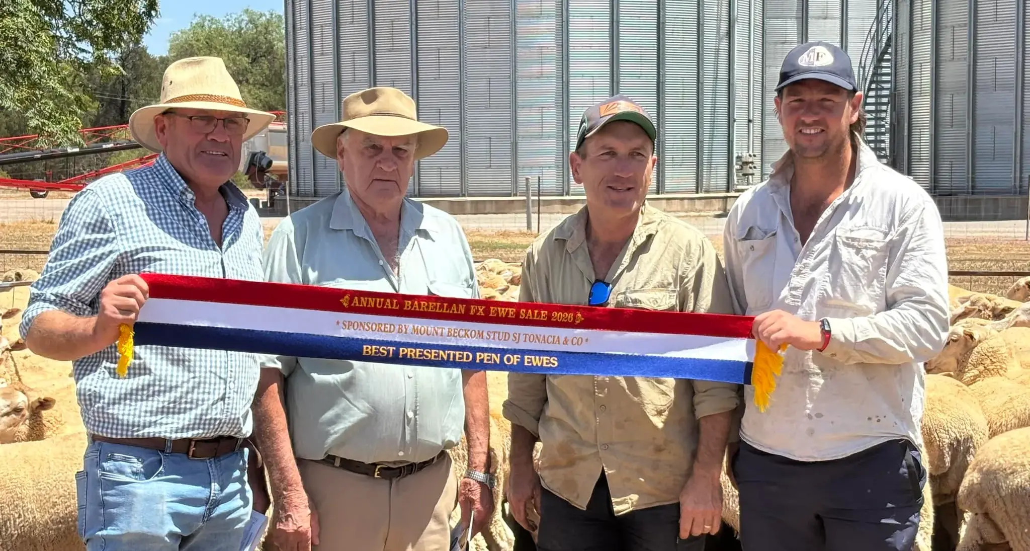 Barellan Breeders ewe sale
