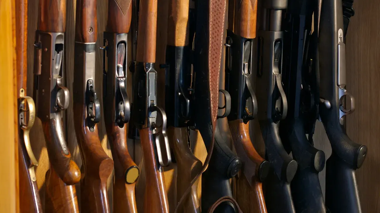 Practical changes needed on firearms laws