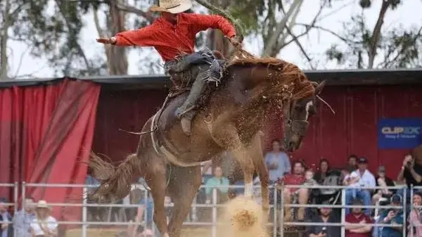 Rodeo returns with focus on locals