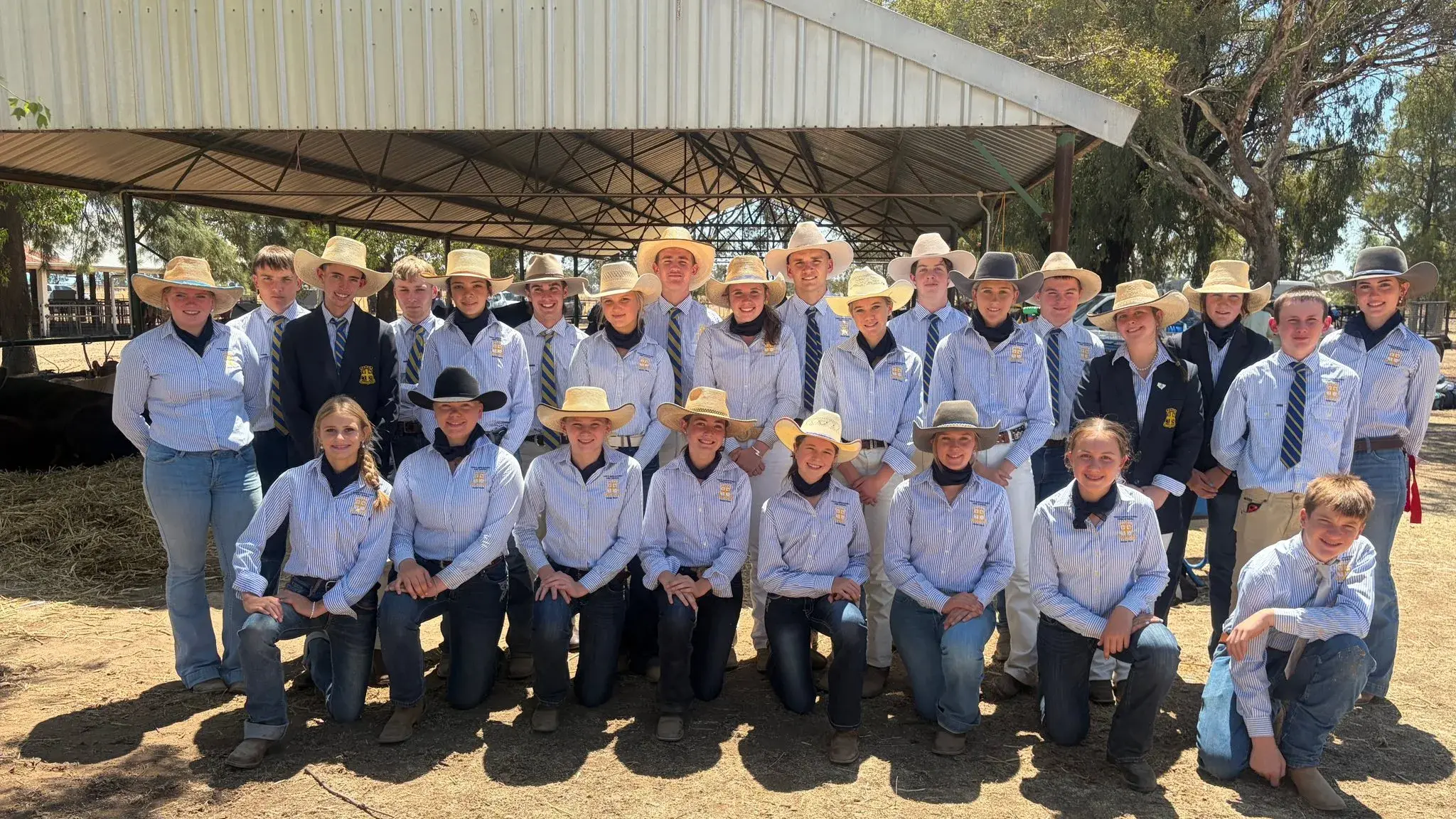 Yanco Ag students impressat sheep and cattle show