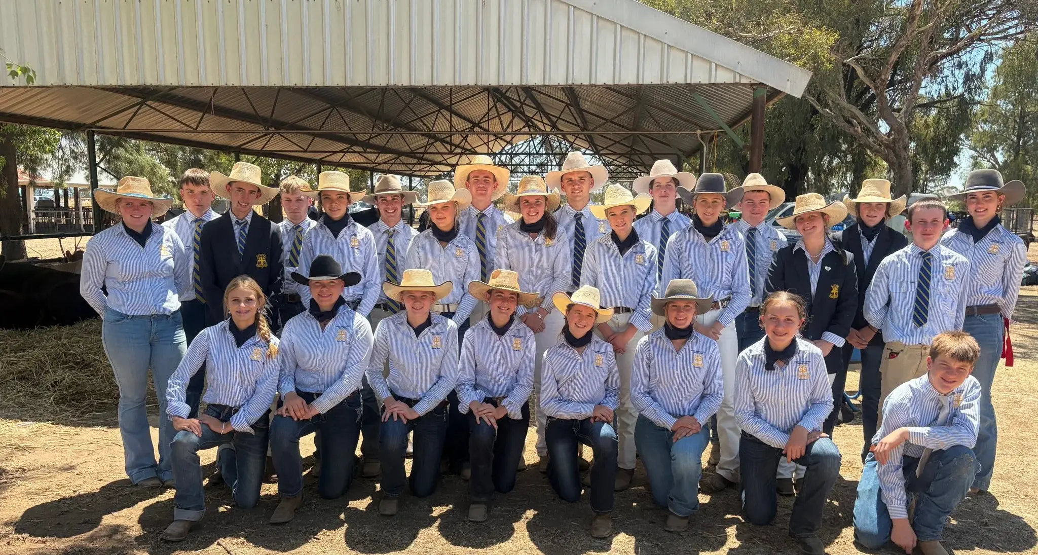 Yanco Ag students impressat sheep and cattle show