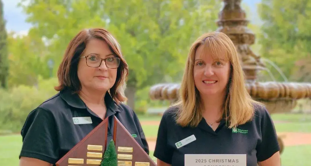 Christmas lights competition 2025 winners