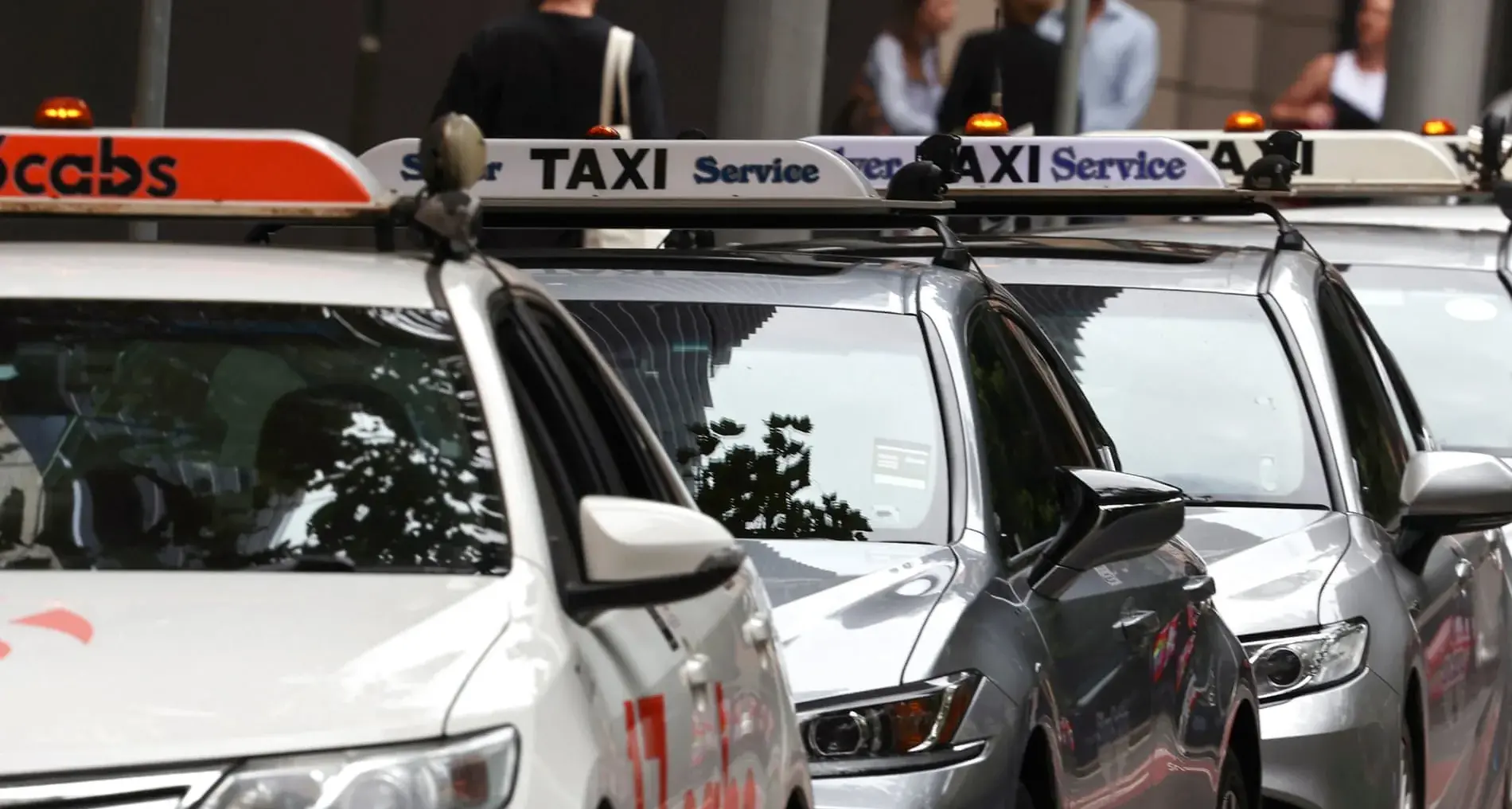 Point to Point Transport Use Survey