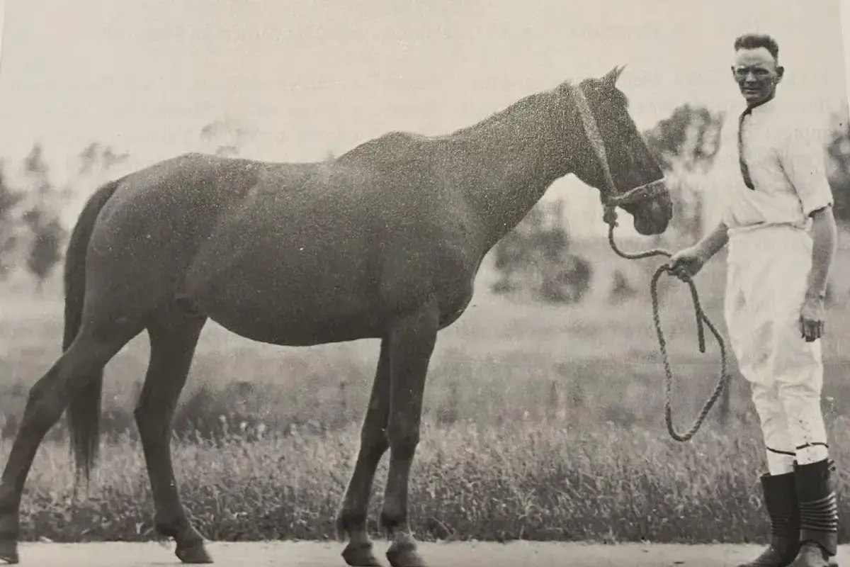 <p>Handley and Rocky Ned, the horse that became a national rodeo legend. PHOTO: Lost Narrandera Facebook</p>\\n