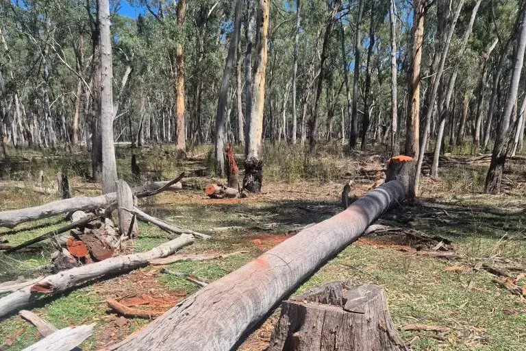 <p>CAN\\'T TOUCH THIS: The local reserve is protected to conserve biodiversity, maintain natural ecosystems and provide a safe habitat for native species.</p>\\n