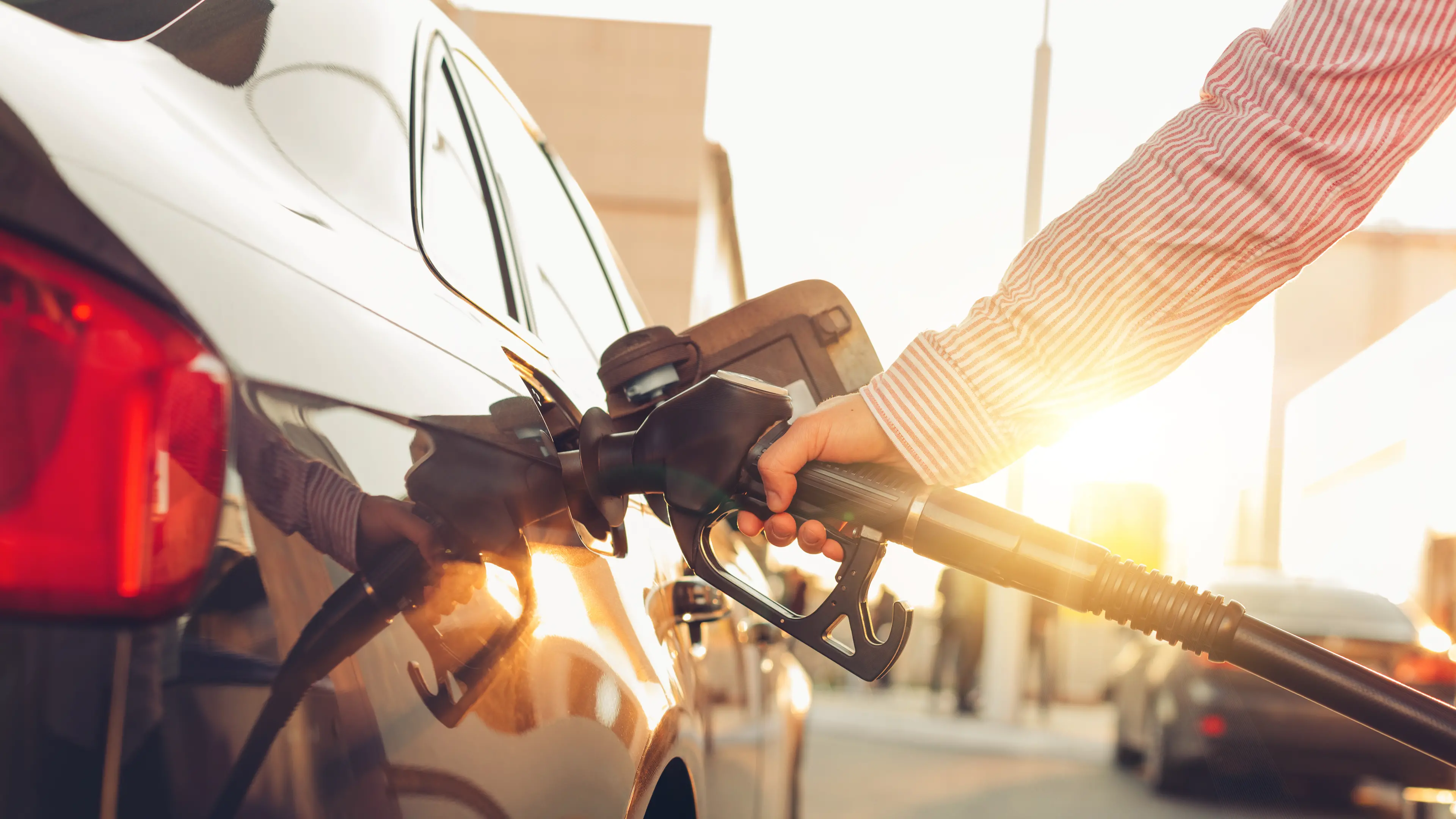 McCormack backs calls to stop fuel price hikes