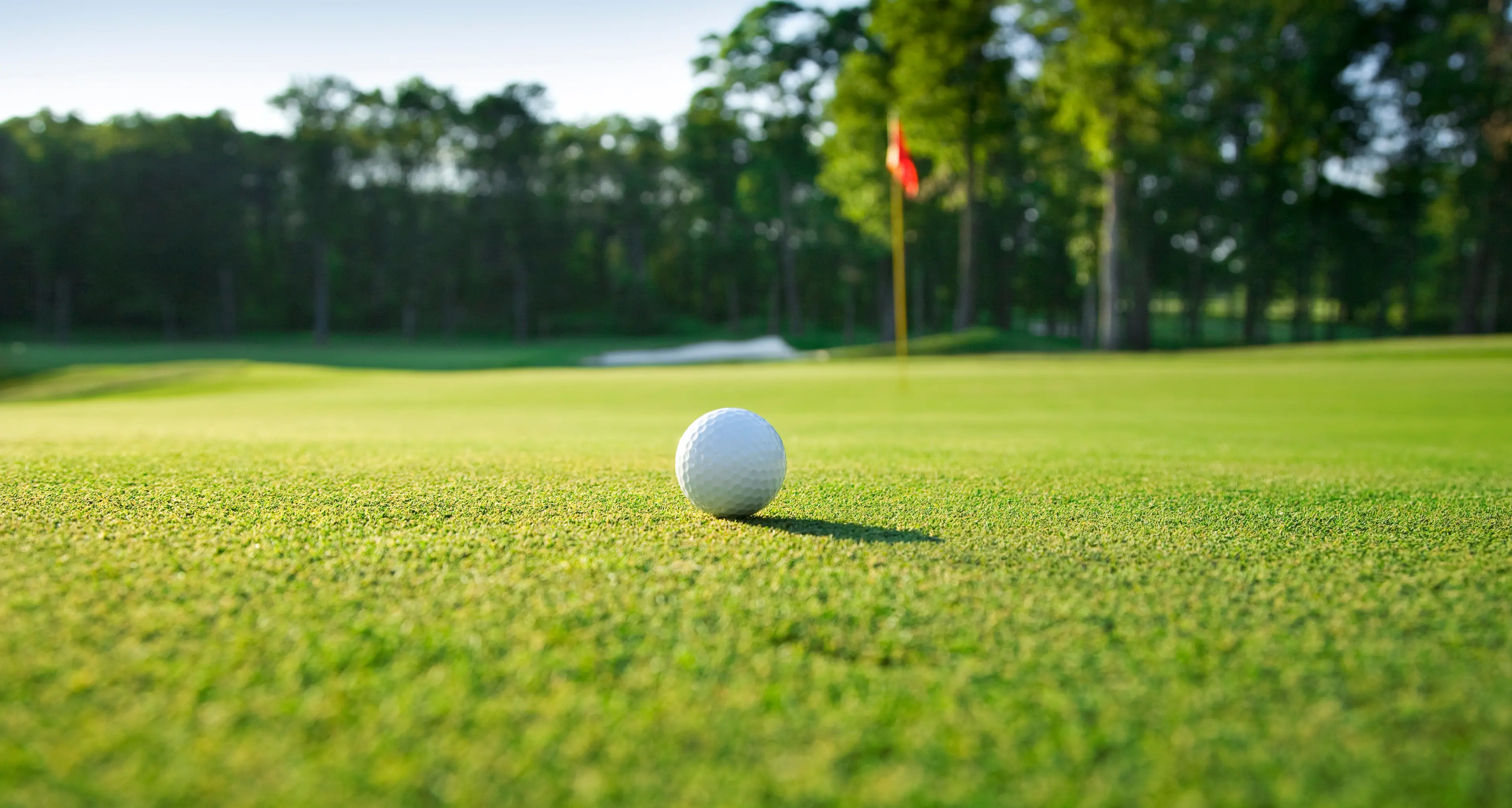 Golf Day adds to Narrandera Cup weekend